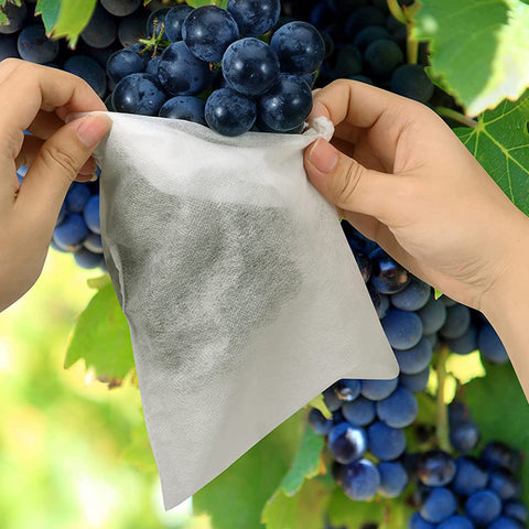 Fruit Protection Bags.